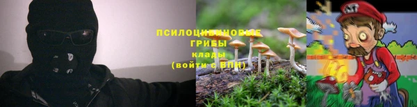 прущая мука Армянск